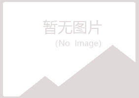 龙岩新罗松手建设有限公司